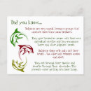 Recherche de dauphins cartes postales Pour enfants