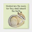 Search for chipmunk magnets Wildlife