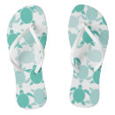 Search for turtle shoes Abstract
