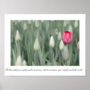 Search for one person posters Nature