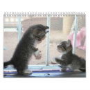 Search for rescue calendars White