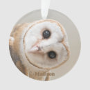 Search for barn owl ornaments Cute
