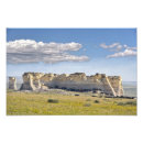 Recherche de troupeaux posters Bétail
