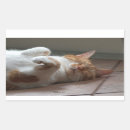Search for cat rectangle stickers Kitty