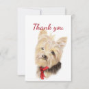 Search for cute yorkie cards Animal