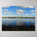 Search for wetland posters Nature