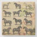 Recherche de décor cheval cartes postales Poney