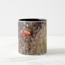 Search for fiji mugs Fish