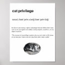 Search for funny cat posters Quote