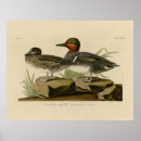 Search for teal green posters Illustration