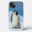 Search for cutest iphone cases Snow hill island