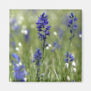 Recherche de ampoule magnets Fleur