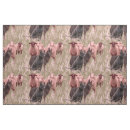 Search for cattledogs Herding