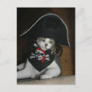 Recherche de chat de pirate Chats