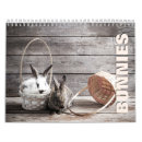 Search for bunny calendars Bunnies
