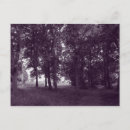 Search for parkland postcards Woods