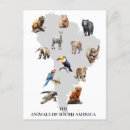 Recherche de safari jungle postcards Animaux de la jungle