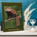Recherche de red panda gifts China