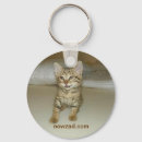 Search for rescue cat keychains Cats