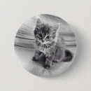 Recherche de chaton noir et blanc badges Adorable