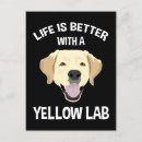 Recherche de humour golden retriever cartes postales Amoureux des chiens