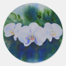Search for watercolor orchid stickers Greenery