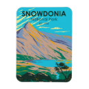 Search for wales magnets Souvenir