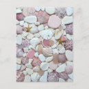 Search for beach shells postcards Summer
