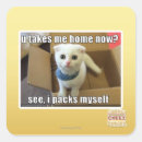 Search for take home stickers I can has cheezburger