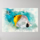 Search for tropical fish posters Blue