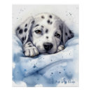 Search for dalmatian puppy posters Baby