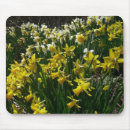 Recherche de blanc fleur tapis souris Jaune