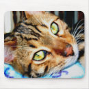 Search for bengal mousepads Kitten