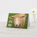Recherche de doux anniversaire cartes Toute personne