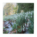 Search for snowdrop tiles Flowers
