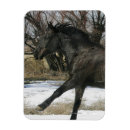 Search for mustang cards Snow