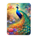 Search for peacock rectangular magnets Flowers