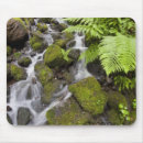 Search for blurred motion mousepads Nature