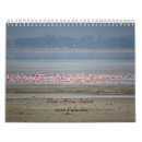 Search for africa calendars Wildlife
