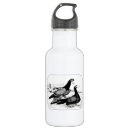 Recherche de colombe mugs bouteilles Oiseau