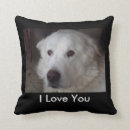 Recherche de pyrénées coussins Grand