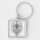 Search for human brain keychains Horizontal