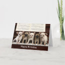 Search for chihuahuas cards Dogs