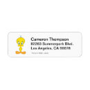 Search for tweety return address labels Looney tune character