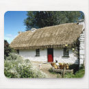 Search for thatch electronics Cottage