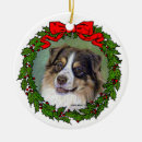 Search for aussies ornaments For pets