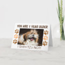 Search for shih tzu birthday cards Animals