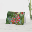 Search for fall christmas cards Berries