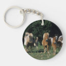 Recherche de miniatures porteclés Poulains