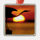Search for st petersburg florida ornaments Animal